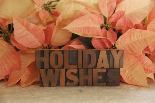 the words Holiday Wishes with pink poinsettias in the background