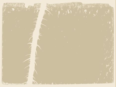 stalk of the plant on grunge background