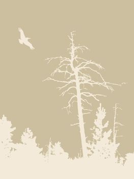 bird silhouette on brown background