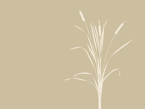 bulrush silhouette on brown background