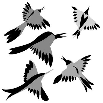 decorative birds drawing on white background