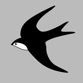 swallow silhouette on gray background