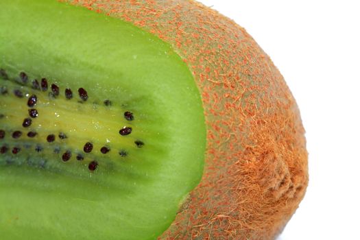 kiwi on white background