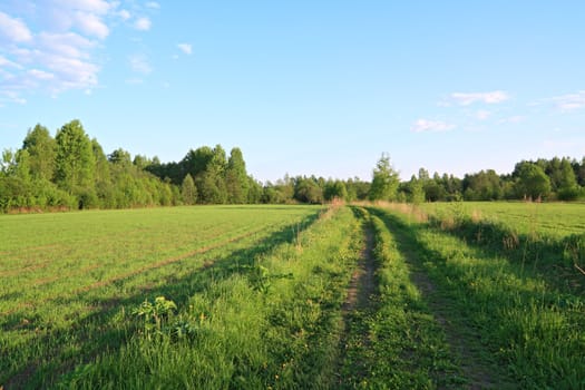 rural road near green field