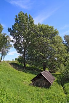 wooden house in green wood