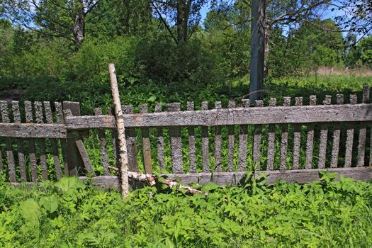 old fence in green herb