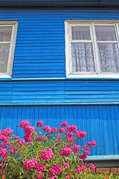 flowerses near wall of the wooden building