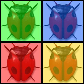 lady bird beetle in 4 color