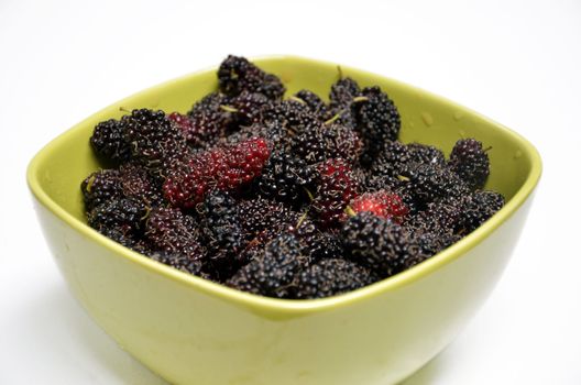 fresh mulberries  in green bowl on white background