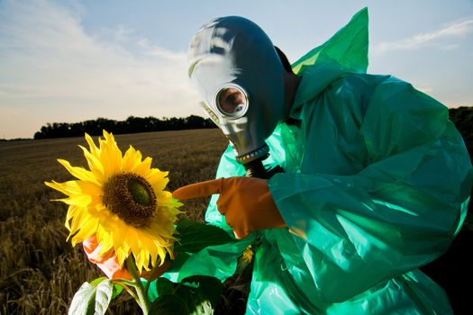 An image of man in gas mask on sunflower field