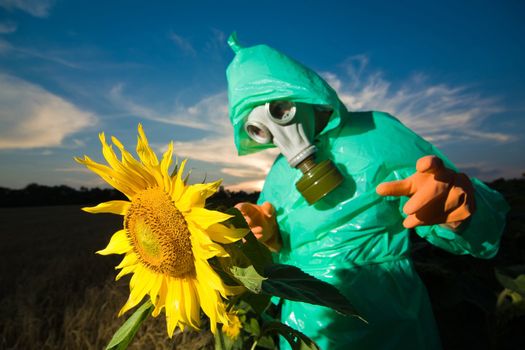 An image of man in gas mask on sunflower field