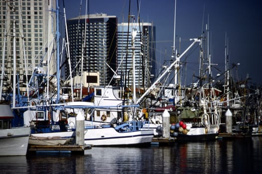 Harbor in San Diego