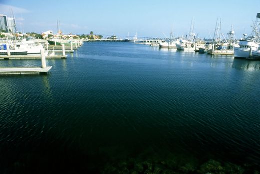 Harbor in San Diego