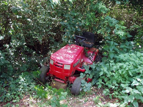 Tractor in garden      