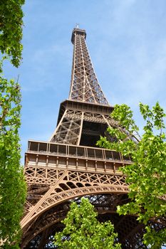 Eiffel Tower in Paris