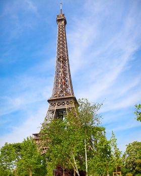 Eiffel Tower in Spring