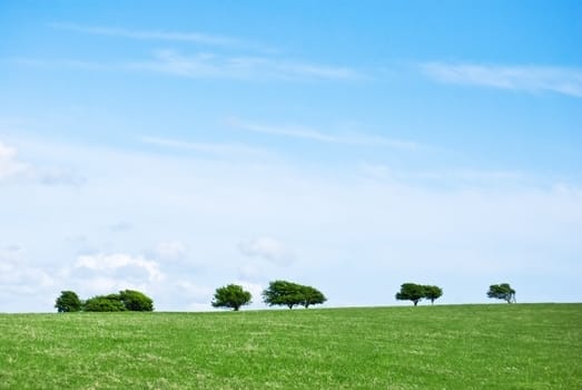 A landscape of a grassy hill and sky with trees along the horizon.  