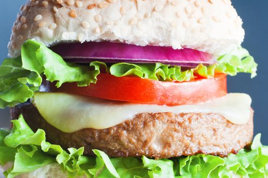 Close up of a veggie burger (made from soya protein) in a sesame seed bap with layers of curly lettuce, melted cheese, tomato and onion.  Blue background.