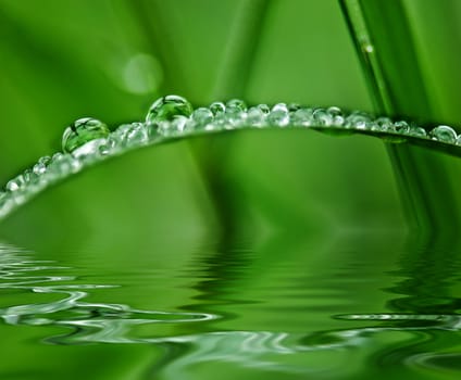 Grass covered with drops of water, beautiful