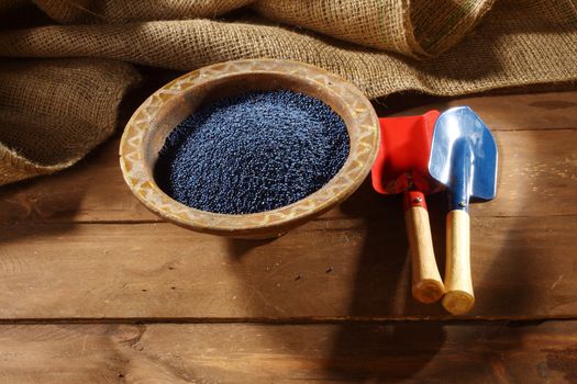 colored rapeseed sowing seed in old bowl