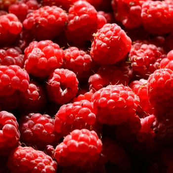 red raspberry background macro close up