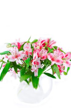 Pink wild orchids in glass vase