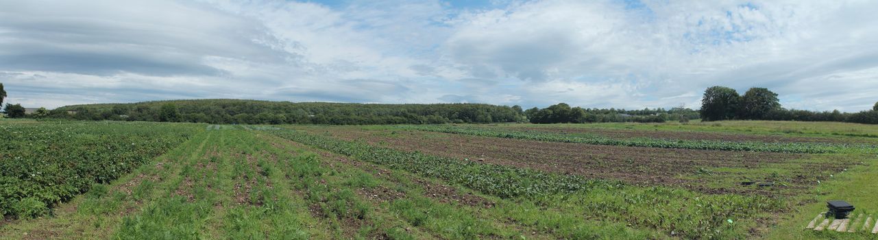 A panoramic photo of a cultivated Irish field in early spring. This photo is made attaching together many photos.