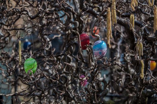 Easter tree with colored eggs in early spring