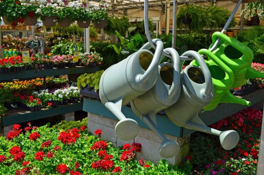 Garden watering cans on display against a backdrop of annual and perennial plants in the gardening section of a hoe improvement warehouse store