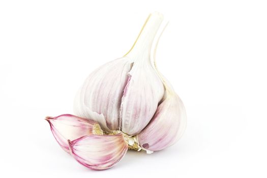 fresh garlic