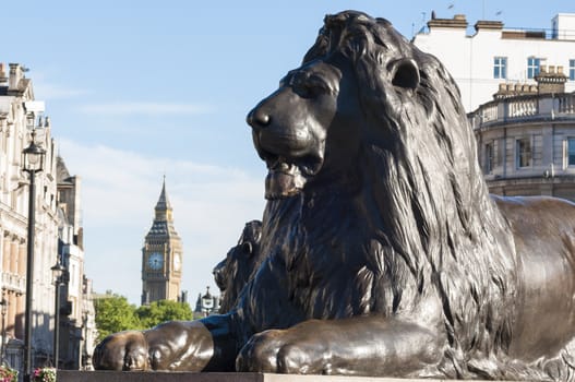Cropped shot of lion statue in Trafalgar square in central London, UK.