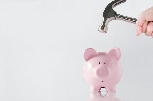 A hand holding a hammer which is raised above a pink china piggy bank, with a shocked and apprehensive facial expression.  Reflective surface and light grey background. Copy space to the left.