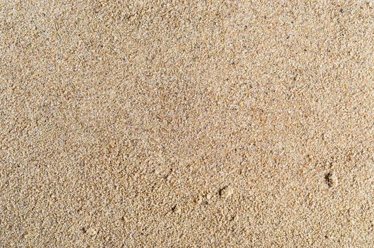 A background texture of unrefined, damp and grainy natural golden sand.