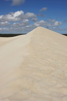 Dunes of Little Sahara, Kangaroo Island, South Australia