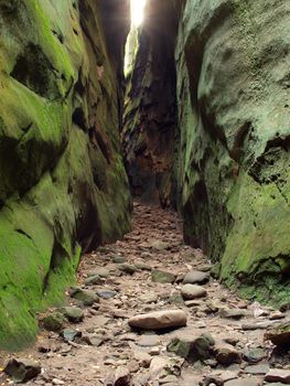 Slot In a rock. Pass between rocks covered with a green moss.