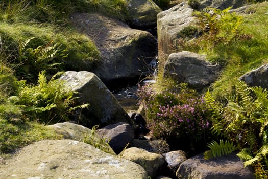 Running from the top of Rombalds Moor this stream merrily meanders through heather covered rocks to the Wharfe.