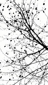 Abstract Nature. Black and white tree, silhouette