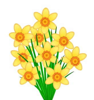 Yellow Daffodil Spring Flowers with Orange Center Bunch Illustration Isolated on White Background