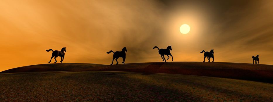 Shadows of running horses by sunset