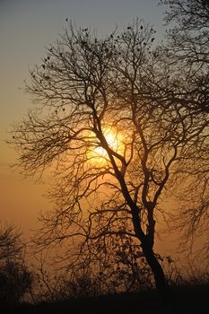 A colored sunrise in a misty morning