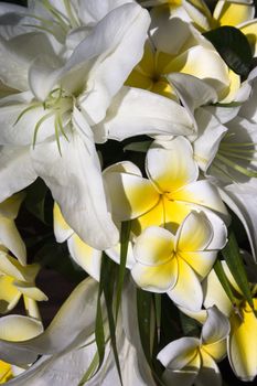 Close up of a beach wedding bouquet flowers containing frangipani and lilies