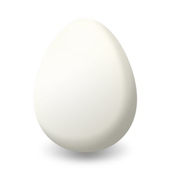 a single white duck egg on a white background