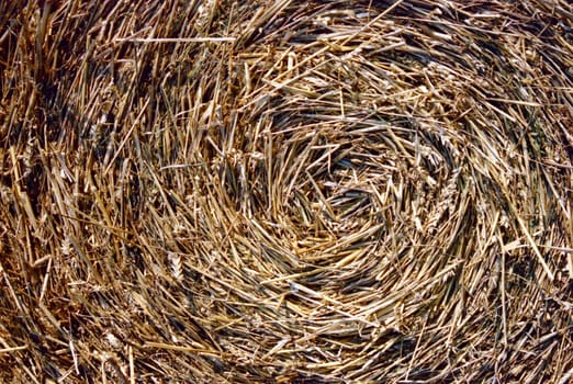 Close-up of straw bales. Spiral texture.