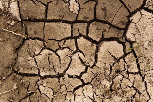 Close-up of dry soil texture with cracks 