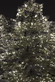 glowing pine tree with lights and snow against a dark background