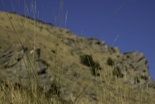 mountain grass with shallow depth of field with East Mountain, Utah and sky in background