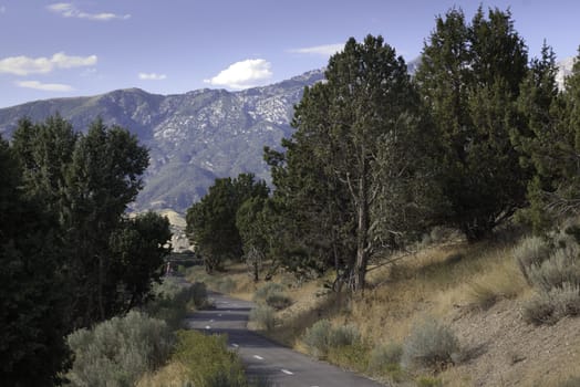 paved pedestrian trail for biking, hiking, walking and exercise