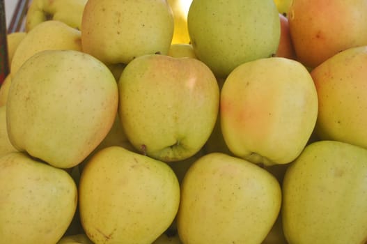 Apple fruit (Malus Domestica), green, yellow or red