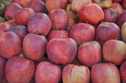 Apple fruit (Malus Domestica), green, yellow or red