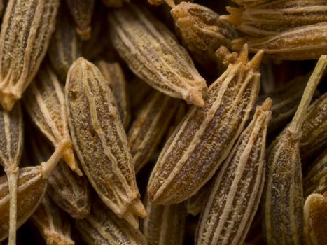 close up of cumin seeds food background